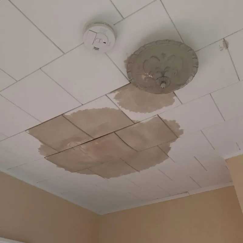 Ceiling Water Damage Repair in Swoyersville, PA