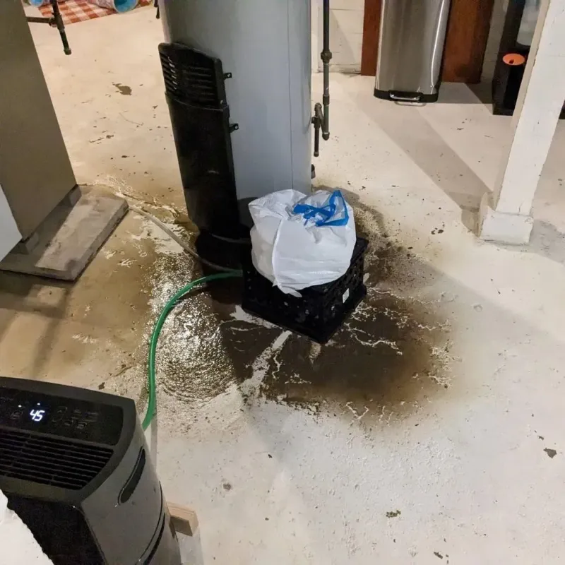 Sewage Backup Cleanup Service in Swoyersville, PA